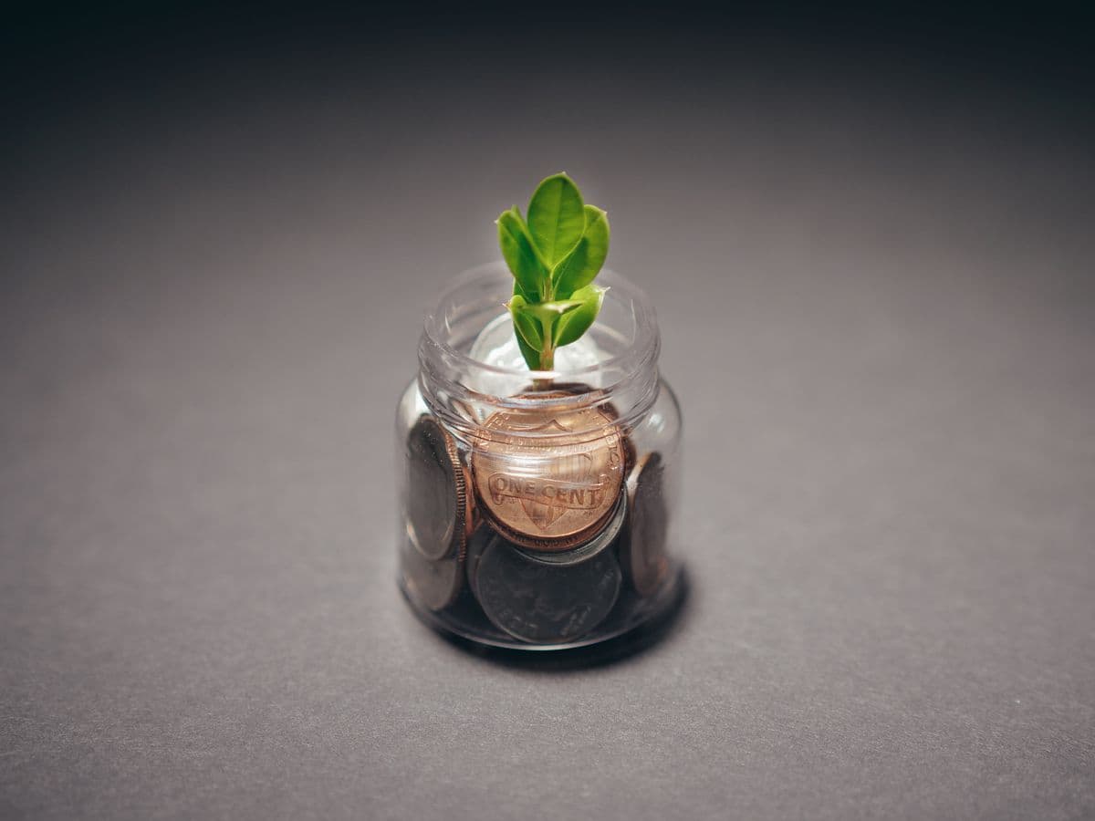 Gold coins and a prosperity chart on a warm surface